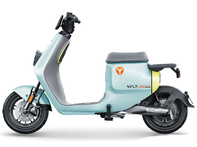 飞越 VFLYL100 MAX典藏款(2021款)电动自行车